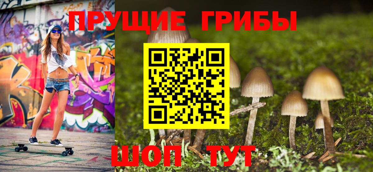 Среднеуральск  Псилоцибиновые грибы мухоморы  Вход с VPN  Галлюциногенные грибы Psilocybine cubensis 